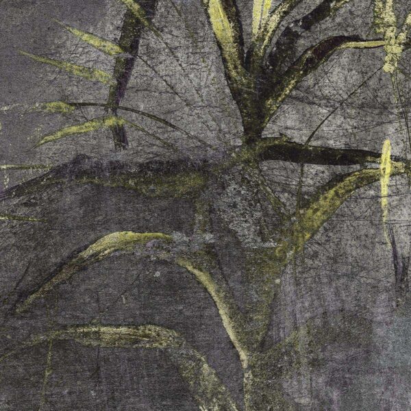 Papel pintado Bantù – WallPepper Group - Imagen 5