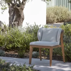 Silla de Comedor de Diseño Orgánico (Teca y Verde Oliva) - Manutti