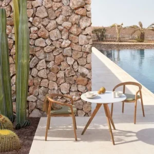 Silla de Comedor de Diseño Orgánico (Teca y Verde Oliva) - Manutti