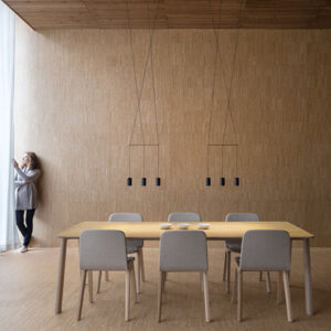 Lámpara suspendida Wireflow Lineal - Vibia