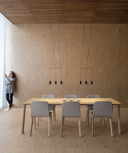 Lámpara suspendida Wireflow Lineal - Vibia