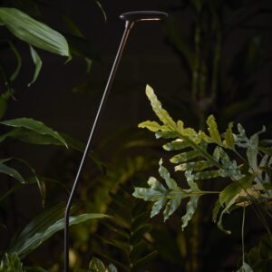 Bolardo de iluminación de jardín Birdie 90SC - Bover