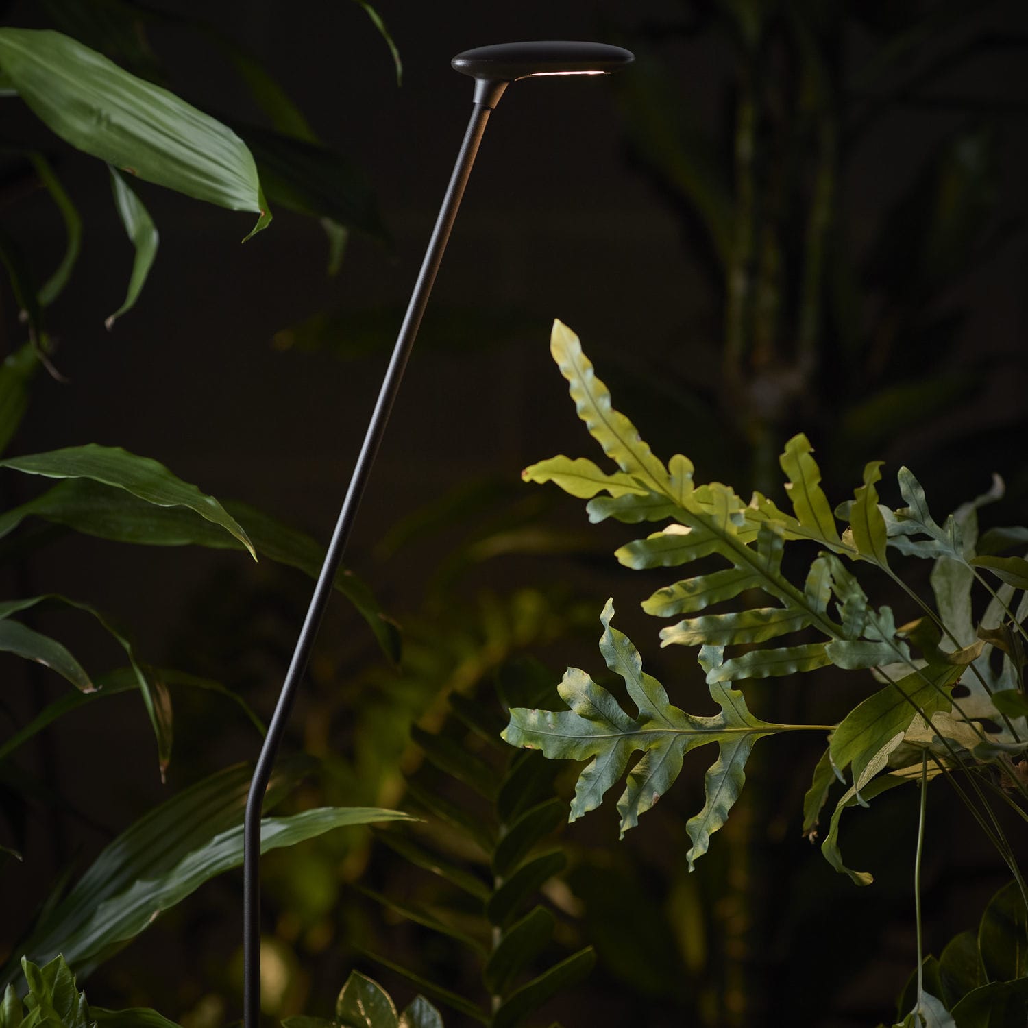 Bolardo de iluminación de jardín Birdie 90SC - Bover