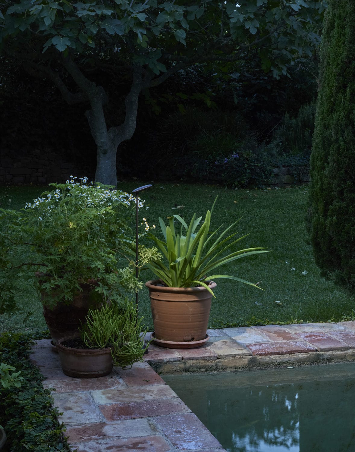 Bolardo de iluminación de jardín Birdie 80S - Bover - Imagen 3