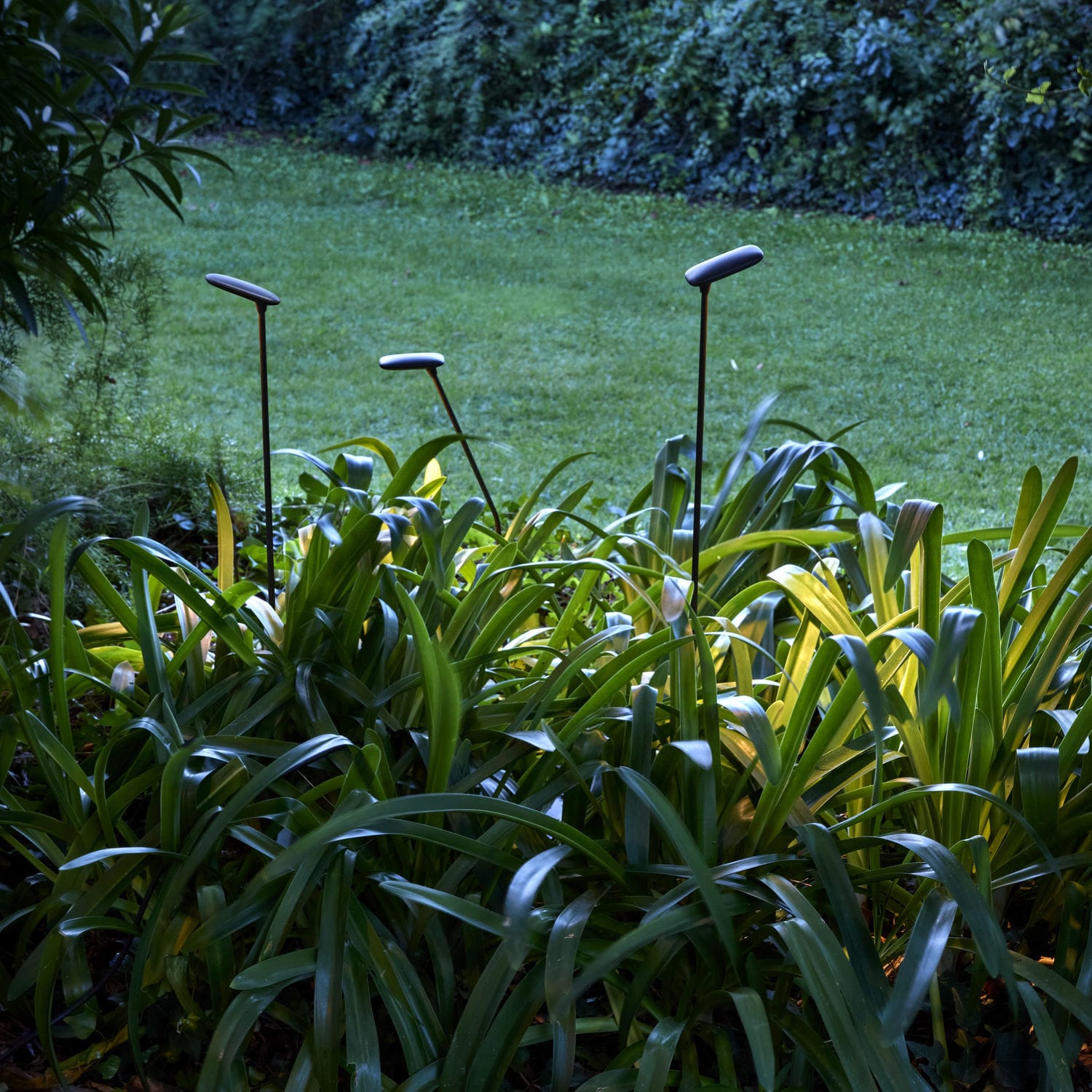 Bolardo de iluminación de jardín Birdie 100L - Bover