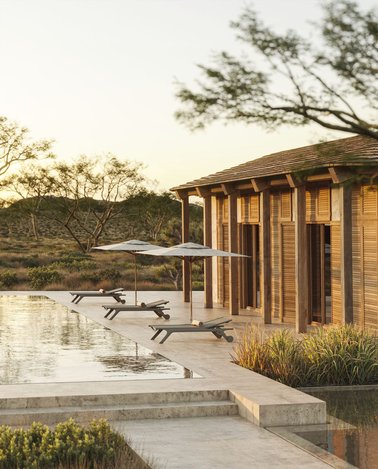 Tumbona contemporánea Africa - Vondom - Imagen 2