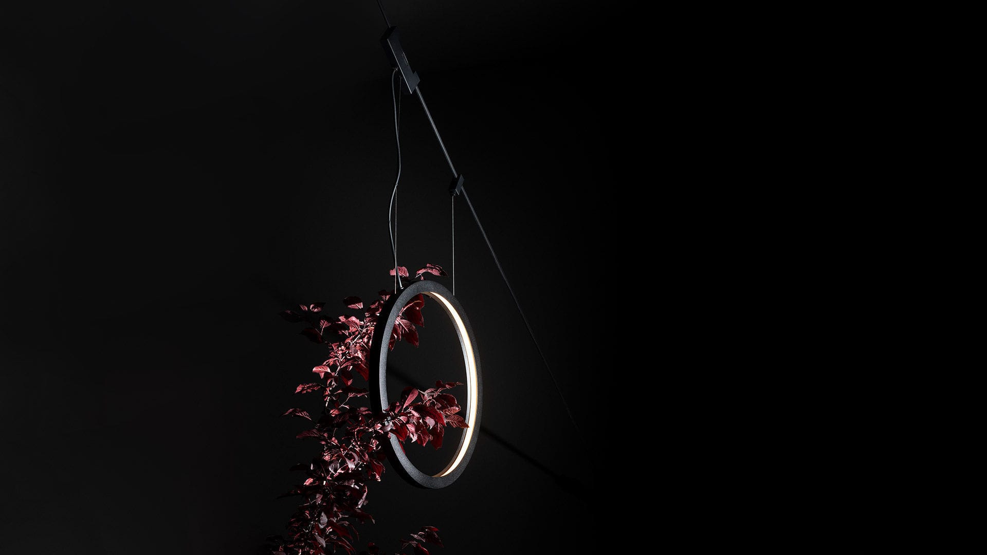 Iluminación sobre cable LED FUNIVIA de exterior - Artemide - Imagen 3