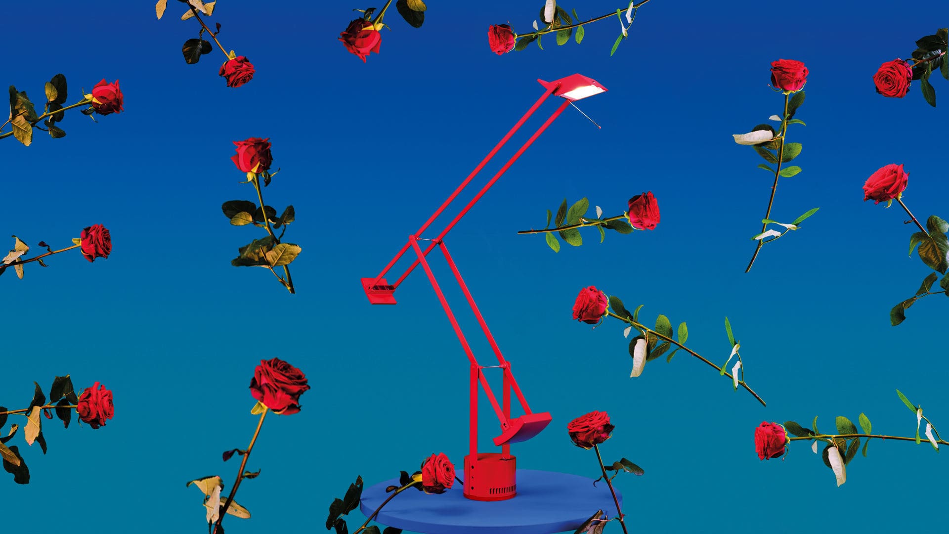 Lámpara de mesa TIZIO - Artemide - Imagen 13